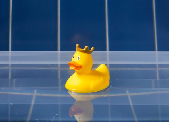 MeyrinLesBains-Canards
