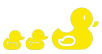 Canards_Famille-YELLOW
